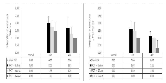 회전근개 파열 모델의 극상건에 saline을 주사한 그룹과, naive UC-MSC, GeneX1-UC-MSC를 주사한 그룹의 integration (distal site와 proximal site) 그래프