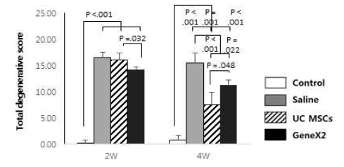 정상 극상건, Saline을 주입한 극상건, UC MSCs를 주입한 극상건, GeneX2를 강화한 UC MSCs를 주입한 극상건의 건의 외형을 평가한 2주와 4주의 조직의 총 퇴행성 변화를 평가한 그래프