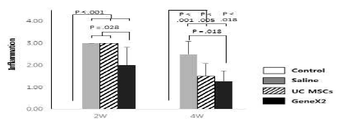 정상 극상건, Saline을 주입한 극상건, UC MSCs를 주입한 극상건, GeneX2를 강화한 UC MSCs를 주입한 극상건의 2주와 4주의 염증을 평가한 그래프