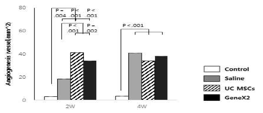 정상 극상건, Saline을 주입한 극상건, UC MSCs를 주입한 극상건, GeneX2를 강화한 UC MSCs를 주입한 극상건의 2주와 4주의 혈관 생성 개수를 평가한 그래프