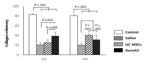 정상 극상건, Saline을 주입한 극상건, UC MSCs를 주입한 극상건, GeneX2를 강화한 UC MSCs를 주입한 극상건의 2주와 4주의 collagen fiber의 coherency를 확인한 그래프
