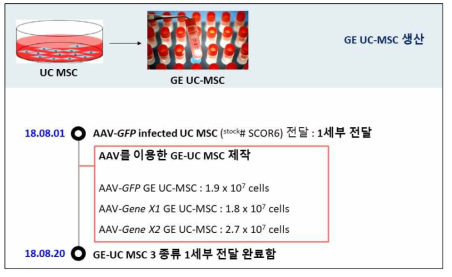 3가지 종류의 GE UC-MSC를 제작 완료함