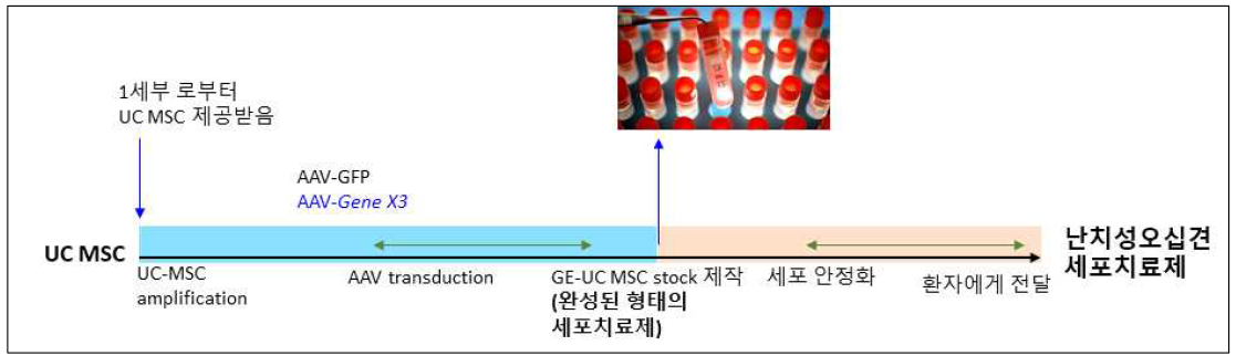 GE UC MSC 제작