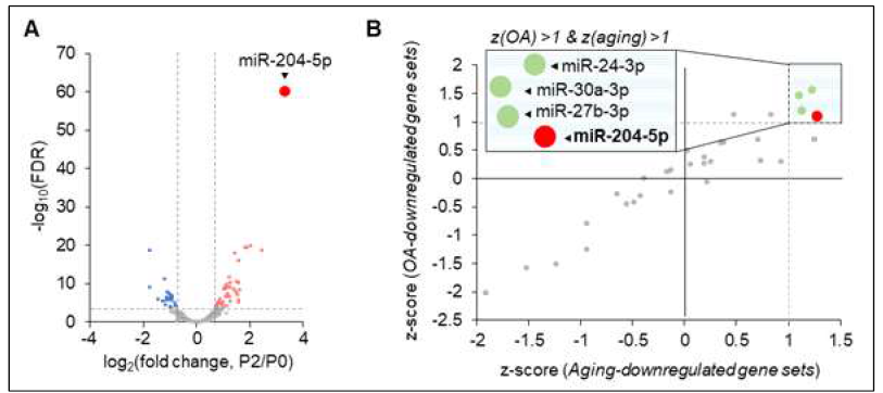 세포노화에 따른 발현이 증가하는 small RNA 발굴