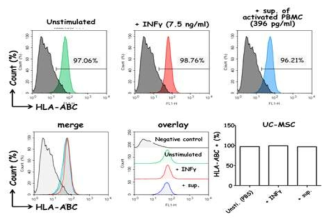 자극을 받은 UC-MSC에서 HLA-DR 발현량