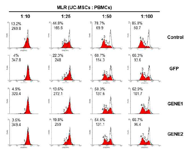 GE-UC-MSC-Control 및 GFP, GENE1, GENE2 삽입된 GE-UC-MSC의 면역조절능 시험 (대표그림)