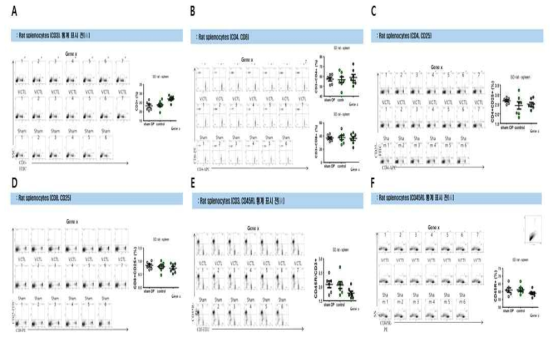 투여 후(後) 14일에 비장세포에서 면역학적 안전성 평가 결과. A. Rat splenocytes (CD3의 비율). Gene X 그룹은 Vector control 그룹(P = 0.012)과 Sham 그룹(P = 0.022)에 비해 T cells 비율이 증가. B. CD4 및 CD8 비율, 그룹 간 차이 없음. C. CD4 및 CD25 비율, 그룹 간 차이 없음. D. CD8 및 CD25 비율, 그룹 간 차이 없음. E. CD3 및 CD45R 비율, Gene X 그룹은 Sham 그룹에 비해 B cell / T cells 비율이 감소 (P = 0.043), F. CD45R 비율, Gene X 그룹은 Vector control 그룹에 비해 B cells 비율이 감소(P = 0.048). Gene X 유전자강화에 따라서 비장 내 T 세포 비율이 증가하기는 하였으나 T 세포의 반응성에는 차이가 관찰되지 않았음