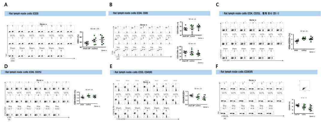 투여 후(後) 14일에 림프절 세포에서 면역학적 안전성 평가 결과 – 군간 적응성면역세포의 비율의 차이 없음. A. Rat lymph node cell (CD3의 비율). 그룹 간 차이 없음. B. CD4 및 CD8 비율, 그룹 간 차이 없음. C. CD4 및 CD25 비율, Vector control 그룹은 Sham 그룹에 비해 activated CD4 T cells 비율이 증가 (P = 0.004). D. CD8 및 CD25 비율, 그룹 간 차이 없음. E. CD3 및 CD45R 비율, 그룹 간 차이 없음, F. CD45R 비율, 그룹 간 차이 없음. 비장과 달리 국소림프절에서는 이종 MSC 투여 또는 수술 시행에 따른 T 세포 활성 정도가 Gene X 강화에 의해서 약화되었음이 확인됨