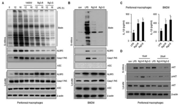 대식세포에서 TXNIP의 억제를 통한 NLRP3 inflammasome의 S-nitrosylation을 조절하는 compound