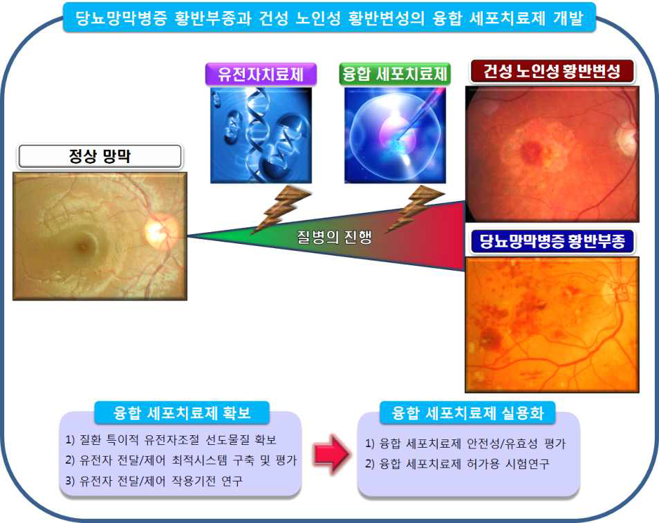 연구 개발 개요의 개념도