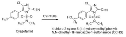 사람 간 microsomes에서 cyazofamid의 대사 경로