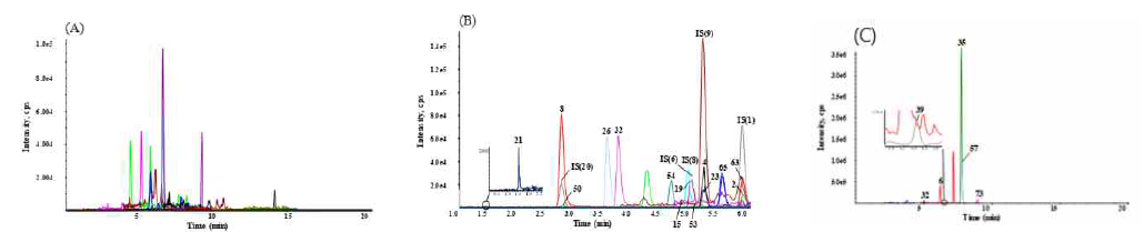 (A) 모발 공시료에서 SRM chromatograms, (B) 모발에 분석물질 일부를 100 pg/mg 첨가한 모발시료의 SRM chromatogram, (C) 약물 남용자의 모발 시료 #7의 SRM chromatogram