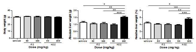 Ketoconazole 및 itraconazole을 경구투여 후 마우스의 체중 및 간의 중량 변화