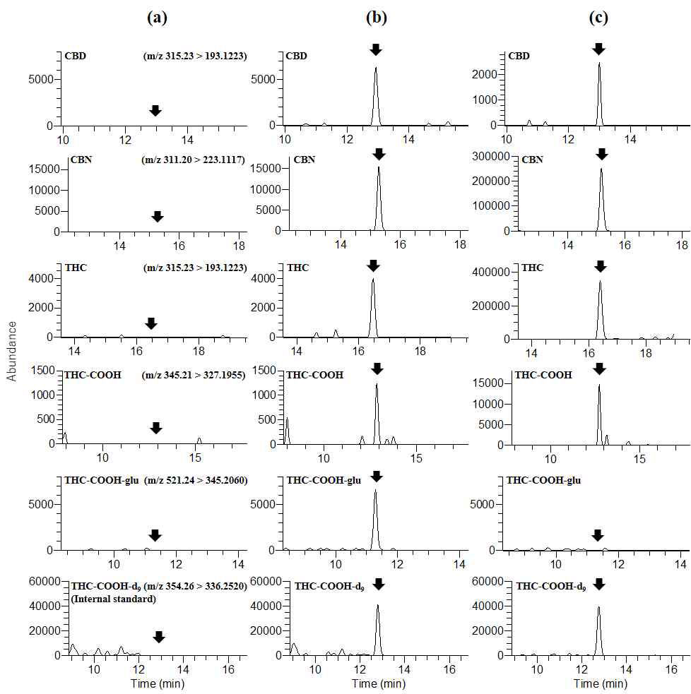 CBD, CBN, THC, THC-COOH, THC-COOH-glu의 PRM 크로마토그램. (a) 공모발시료의 PRM 크로마토그램. (b) LLOQ (CBD, CBN, THC: 4 pg/mg; THC-COOH, THC-COOH-glu: 0.1 pg/mg)에서의 PRM 크로마토그램. (c) 모발시료 #1의 PRM 크로마토그램
