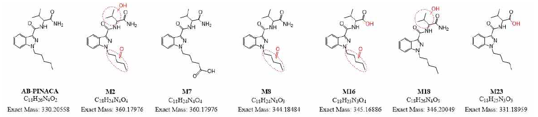 AB-PINACA 및 human liver microsome 대사체 중 일부(M2, M7, M8, M16, M18, M23)의 화학 구조