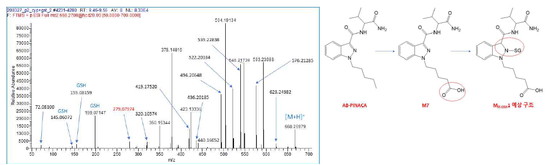 AB-PINACA의 GSH 반응성 대사체인 MPI-GSH1의 MS2의 spectrum 및 예상 구조