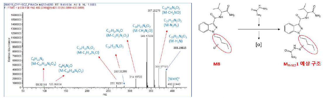AB-PINACA의 semicarbazide 반응성 대사체인 MPI-SCZ1의 MS2의 spectrum 및 예상 구조