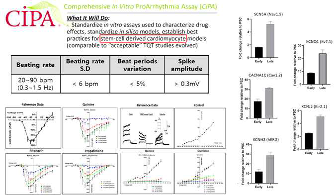 Patch clamp 최적 조건 확립 및 CiPA 제시 Reference drug 스크리닝