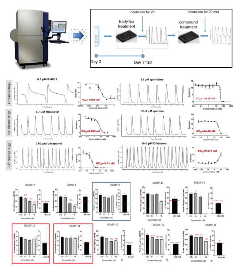 Intracellular calcium flux assay 활용한 심독성 평가법 개발