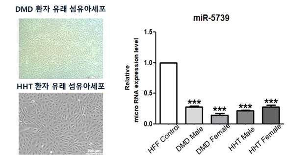 환자 유래 체세포에서의 miR-5739 발현 변화 확인