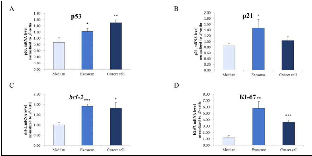 Effects in tumor suppressor genes and cell proliferation factors according to exosome injection (a) Liver p53 mRNA levels (b) Liver p21 mRNA levels (c) Liver bcl-2 mRNA levels (d) Liver ki-67 mRNA levels In graphs, values are given as mean ± standard error, Student´s t-test were used to compare the means of control groups. *p<0.05, ** p<0.01, *** p<0.001