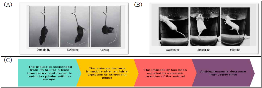 (A)Tail suspension test (TST) : Steru et al, 1985 , (B) Forced swimming test (FST) : Porsolt et al, 1977 and (C)behavioral testing procedure