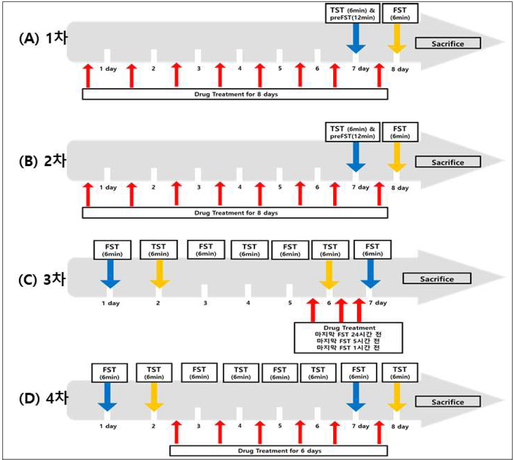 Timelines of the behavioral test for anti-depression (A)First test (3895), (B)Second test( 3895), (C)Third test(anti-mTfR-PTPσ Ig1-2), and (D) Fourth test (BEY-H276)