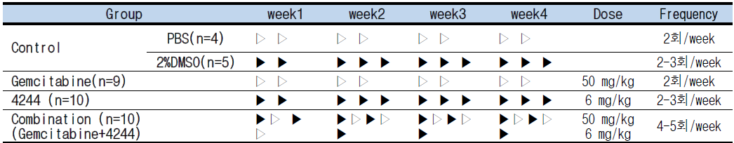 Drug treatment protocol in panc-1 xenograft model