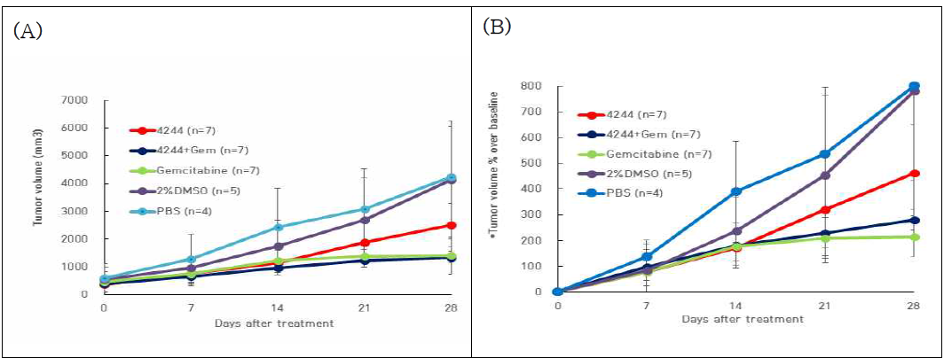 췌장암(panc-1) xenograft 모델에서 4244 , Gemcitabine 그리고 두 약의 병합요법제 투여 군들의 암조직의 (A)크기 변화와 (B) 크기 변화율(%) (*Tumor volume % over baseline=△Tumor Size/1st Tumor Size X100)