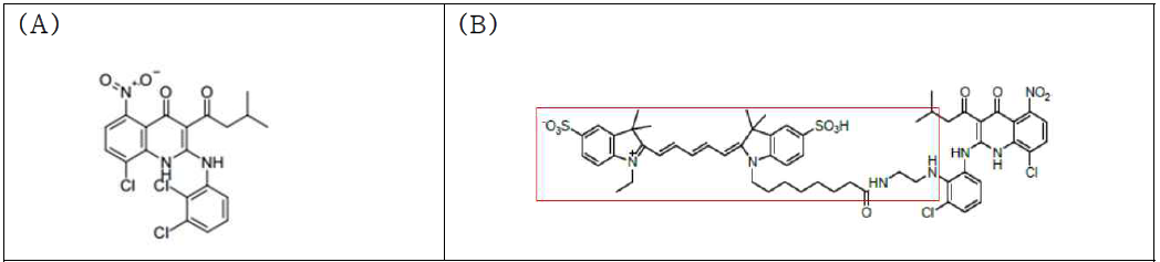 활성물질 4244(A)와 Red channel dye-labelled 4244(B)의 화학 구조