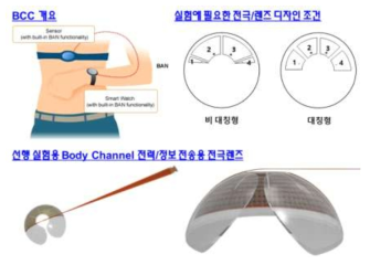 BC 기반 IC 칩과의 통합을 위한 BC 전극 모식도