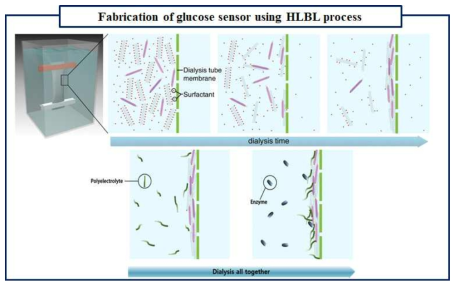 HLBL 공법을 이용한 효소필름 제작 공정