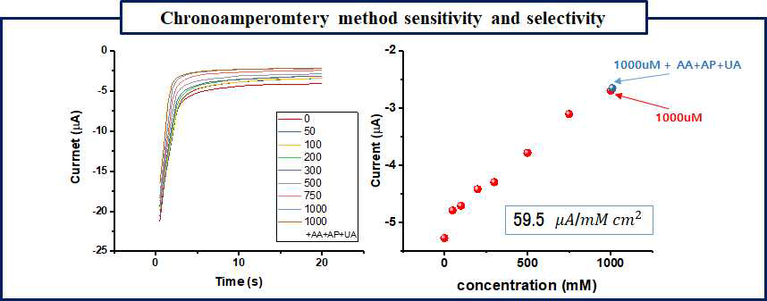 Chronoamperometry (CA) 측정법 결과