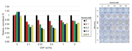 0.6 mM 농도 이하의 포도당과 다양한 농도(0~2w/v%)에서 CNP의 발색 가능성 평가