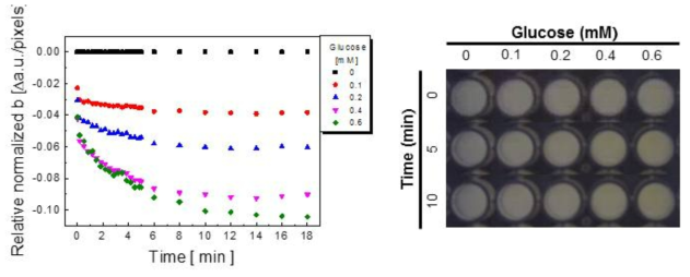 다양한 농도의(0~0.6mM) 포도당과 CNP-PEG-GOX 나노복합체의 시간에 따른 발색반응