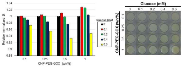 다양한 포도당 농도(0~0.6mM)에서 CNP-PEG-GOX 나노복합체의 농도에 따른 발색변화