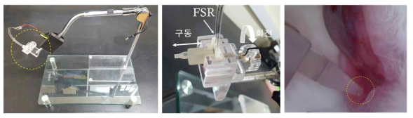 (좌) 자체 제작한 단방향 구동 장치, (중간) 스트립 tip과 FSR이 직렬로 연결되고 나사조임을 통하여 미세한 이동이 가능한 단방향 구동장치, (우) 전안부 조직에 tip을 인가한 사진
