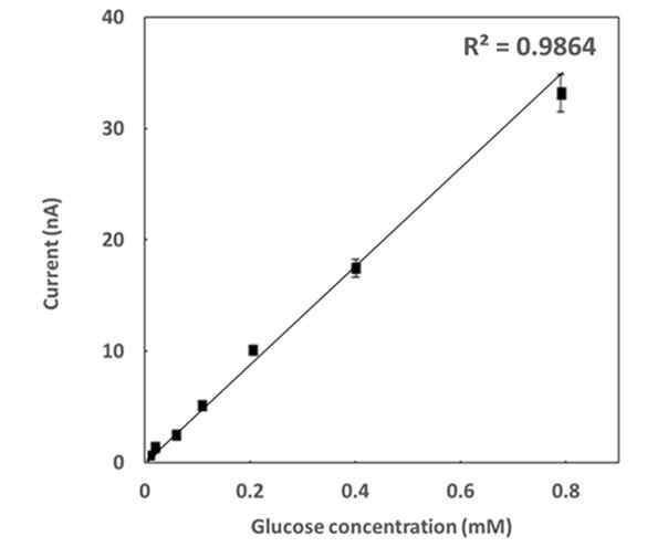 In vitro 환경에서 측정한 포도당 농도와 전류의 standard curve