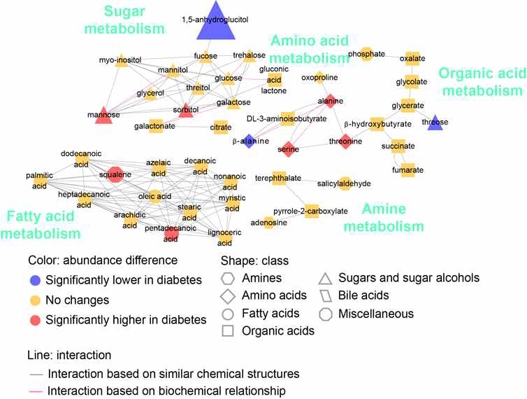 당뇨병 환자에서 혈액과 눈물내 metabolomics 분석(2)