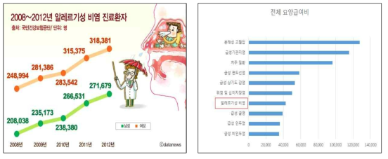 알레르기 비염 진료 환자 증가 추이와 2012년 전체 요양급여 순위(건강심사평가원)