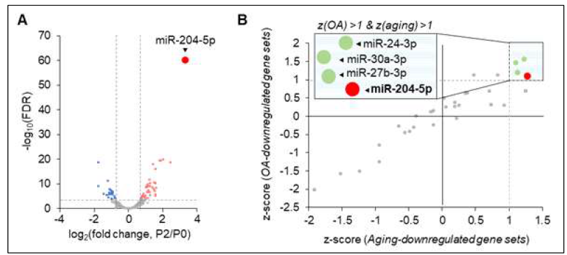 세포노화에 따른 발현이 증가하는 small RNA 발굴