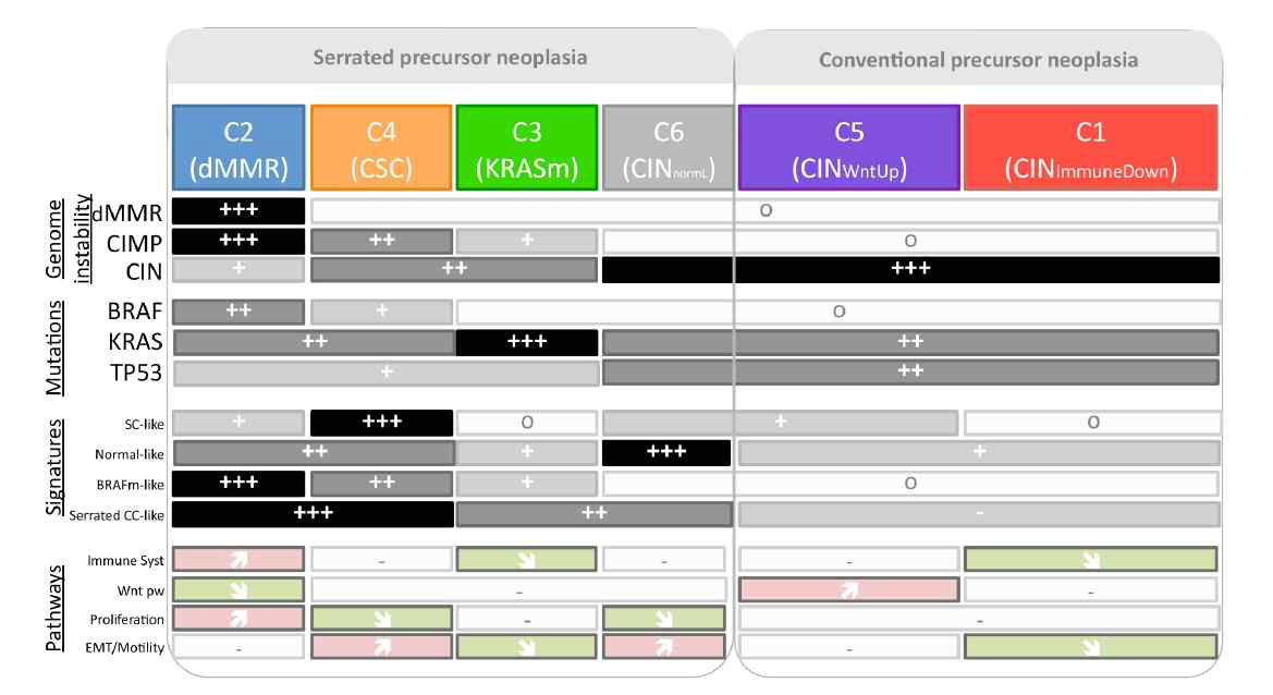 대장암의 molecular subtype과 pathway activation (Marisa et al, PLoS Med, 2013, 1 (5) p.e1001453)