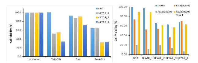 LYAR knockdown에 의한 Hs746T의 extrinsic apoptosis와 ferroptosis 반응성