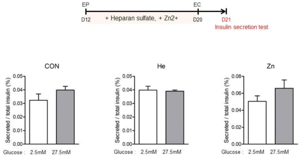 Heparan sulfate 및 Zinc ion의 처리 후 베타세포 클러스터에서 인슐린 분비기능을 확인