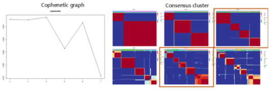 Cophenetic graph and consensus plot