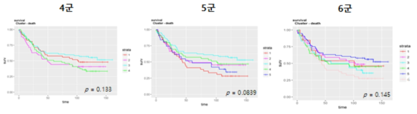 NMF 4,5,6군의 Kaplan meier plot