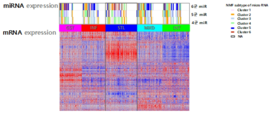 mRNA Heat map과 miRNA subtype 연관