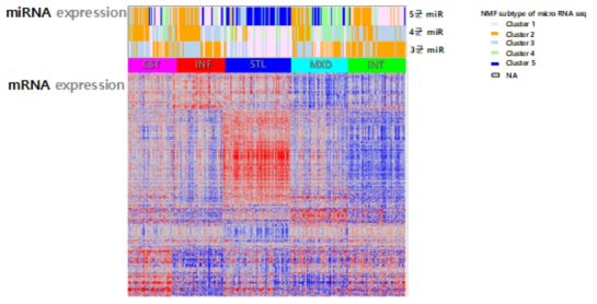 mRNA Heat map과 miRNA subtype 연관