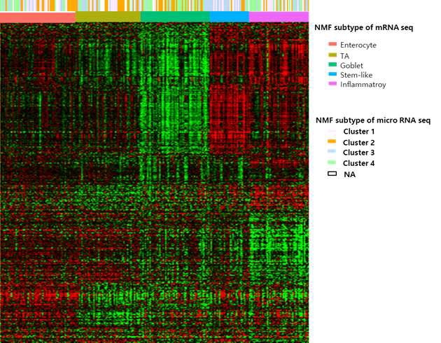 mRNA Heat map과 miRNA subtype 연관