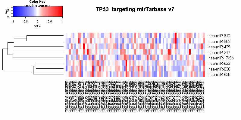 뇌암환자에서 TP53유전자의 고발현(heatmap의 좌측) 저발현(heatmap의 우측)으로 구분하고 mirTarbase v7에서 확인된 관련 miR level을 확인한 자료. 명백한 miRNA의 고발현하는 mRNA sample이 확인되지는 않는다